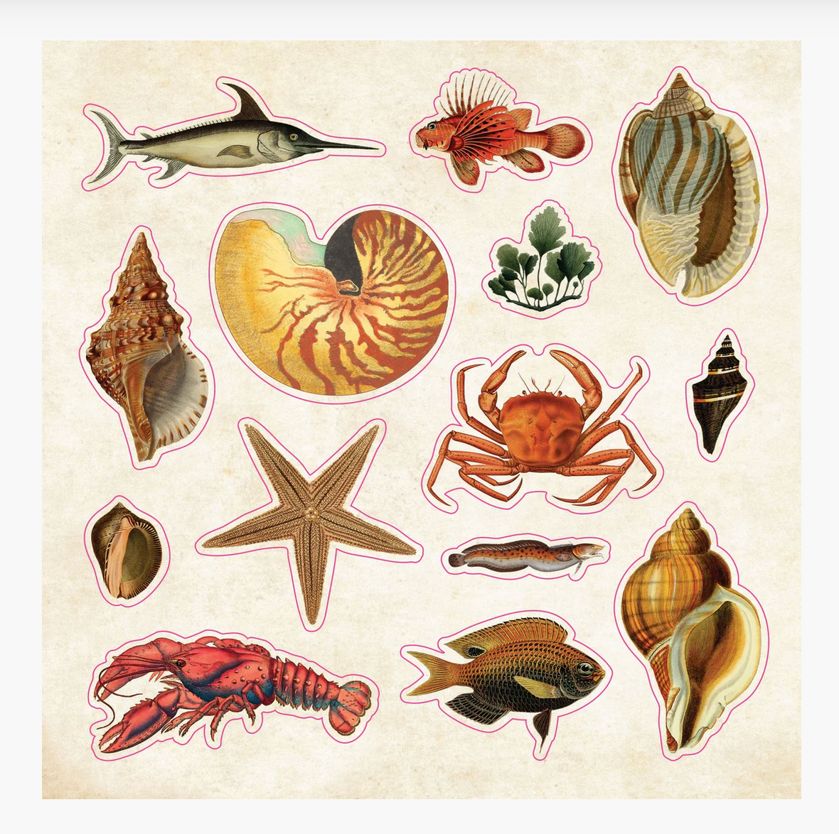 The Sticker Book of Curiosities