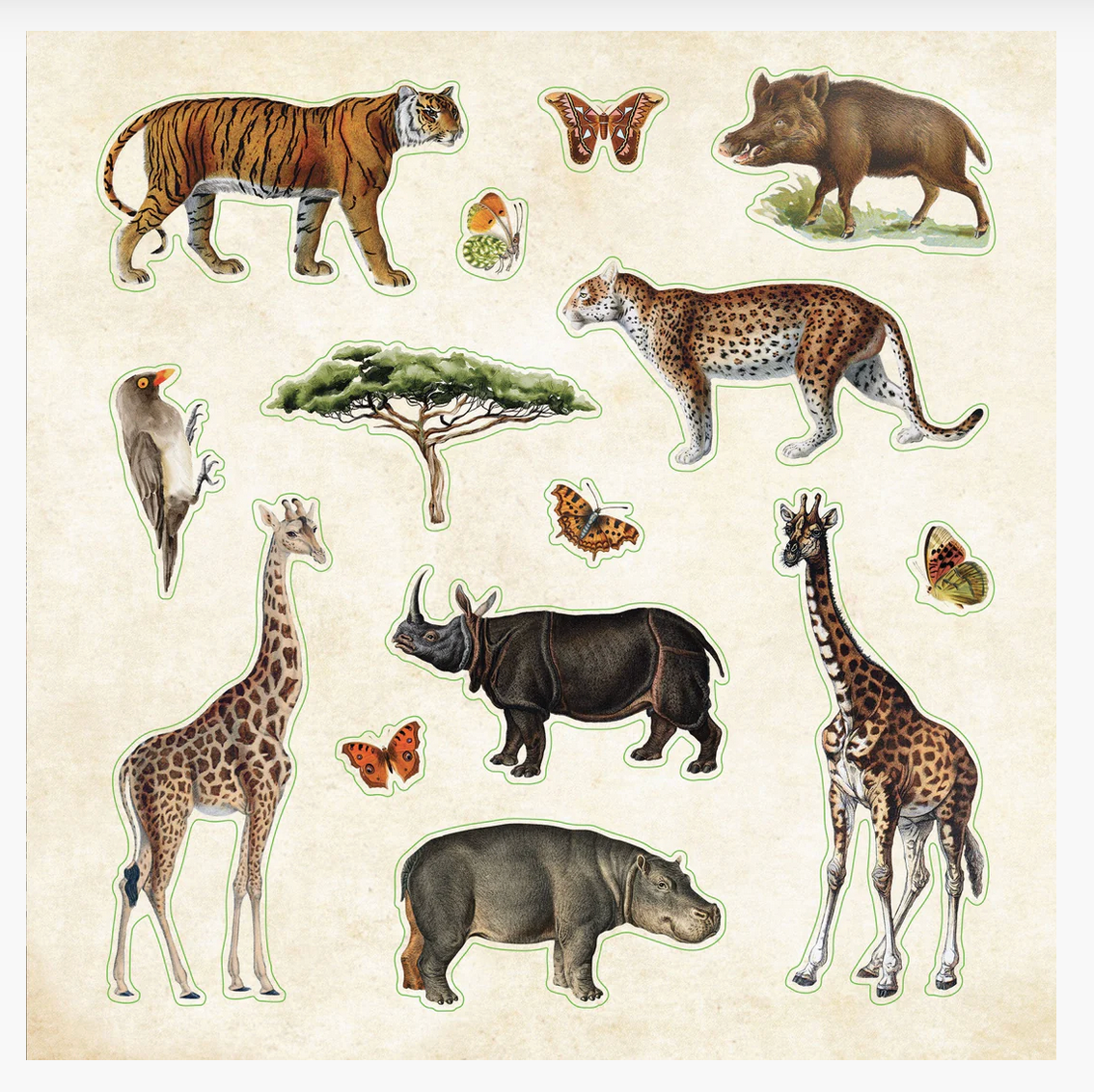 The  Zoological Sticker Book