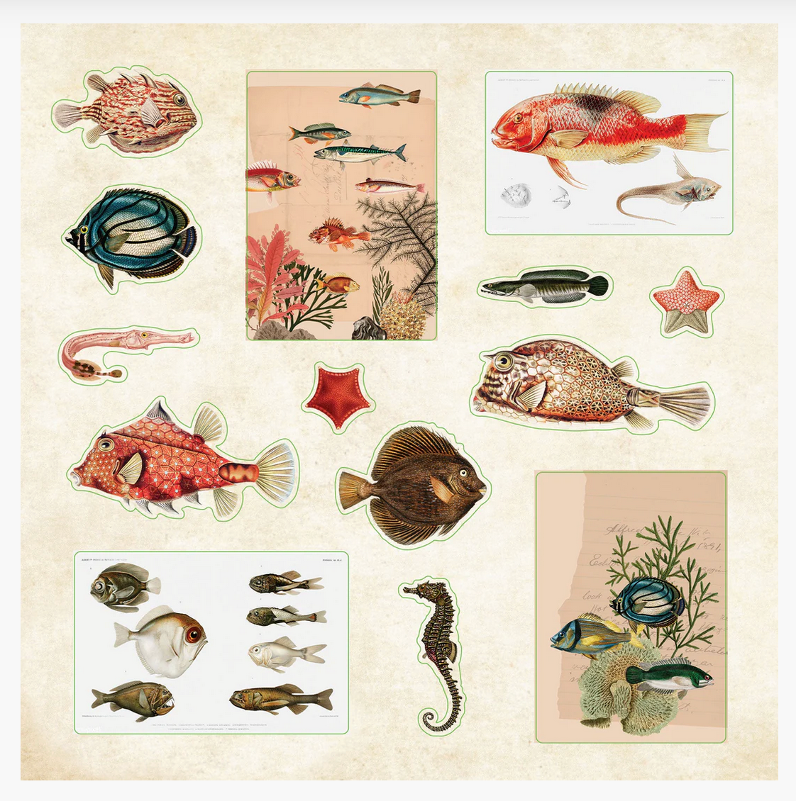 Poseidon's Kingdom Sticker Book