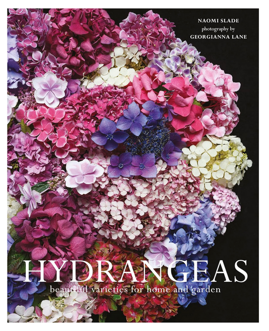 Hydrangeas: Beautiful Varieties For Home And Garden