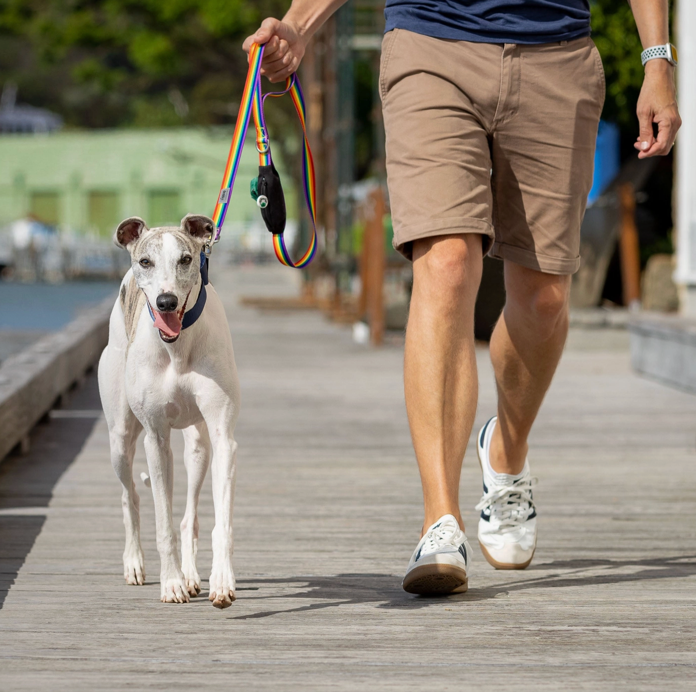 Rainbow Dog Leash with Built-in Poop Bag Holder