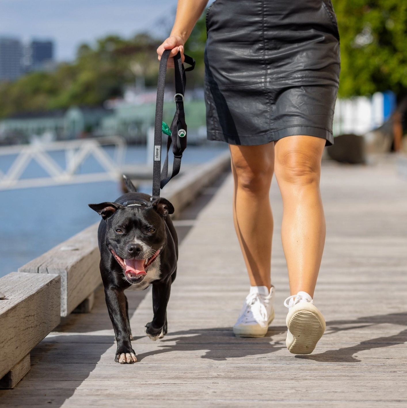 Black Dog Leash with Built-in Poop Bag Holder