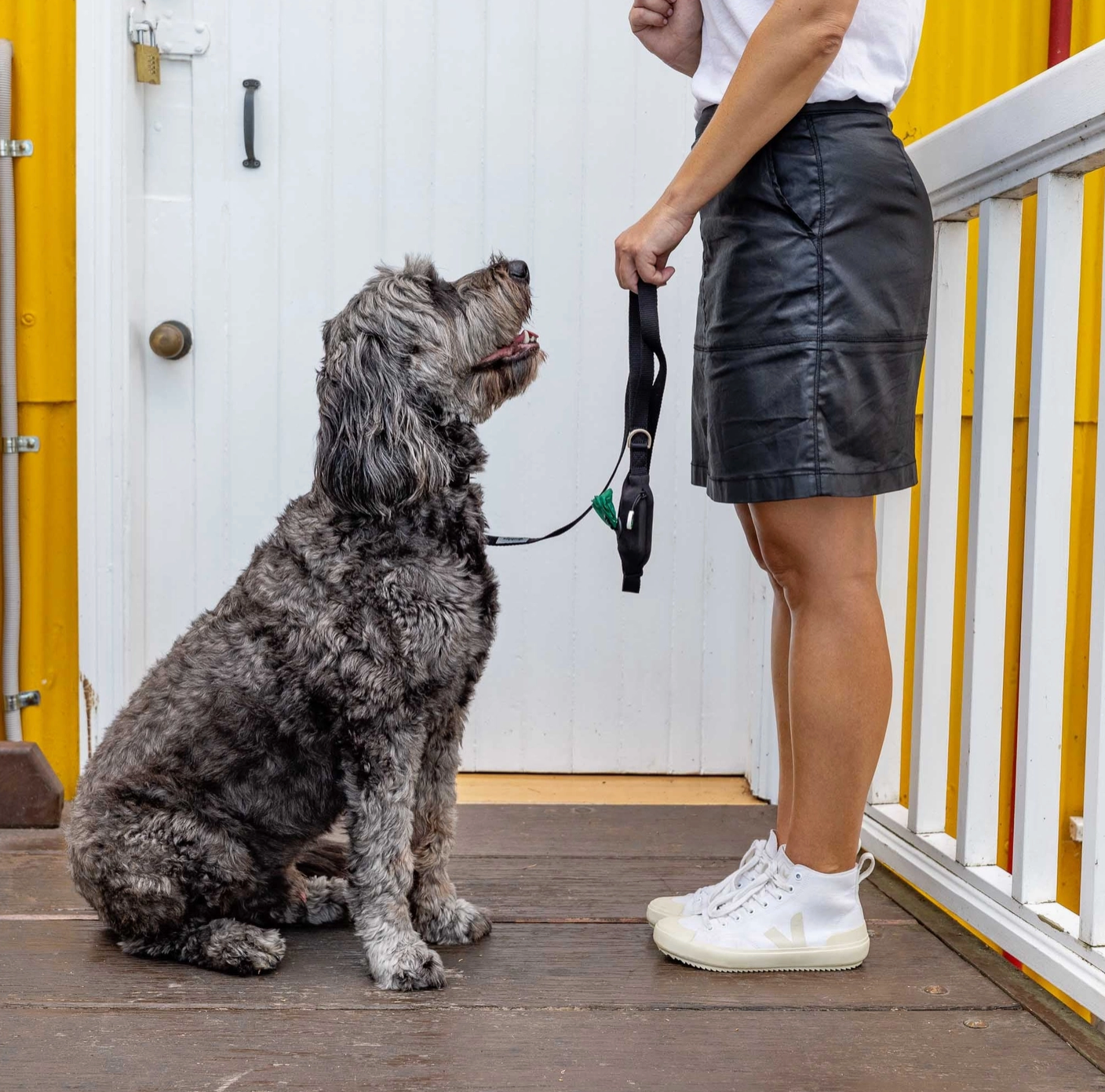 Black Dog Leash with Built-in Poop Bag Holder
