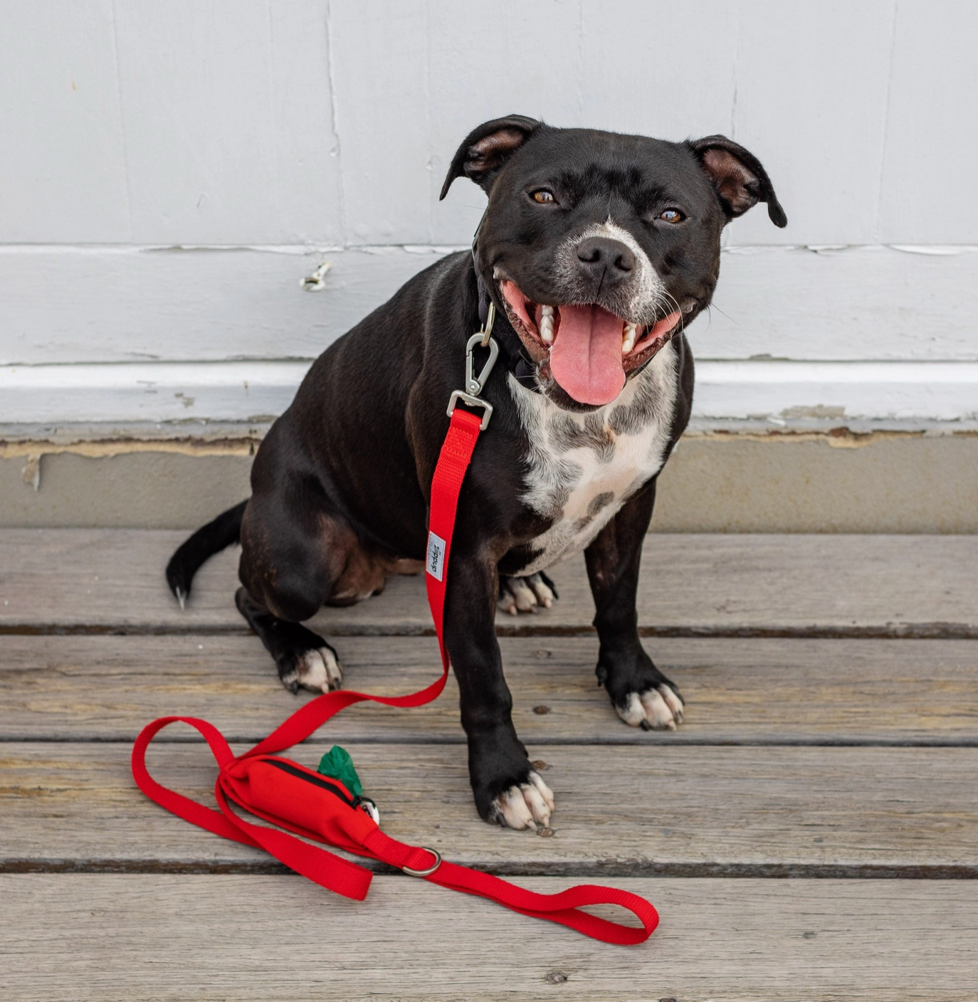 Red Dog Leash with Built-in Poop Bag Holder