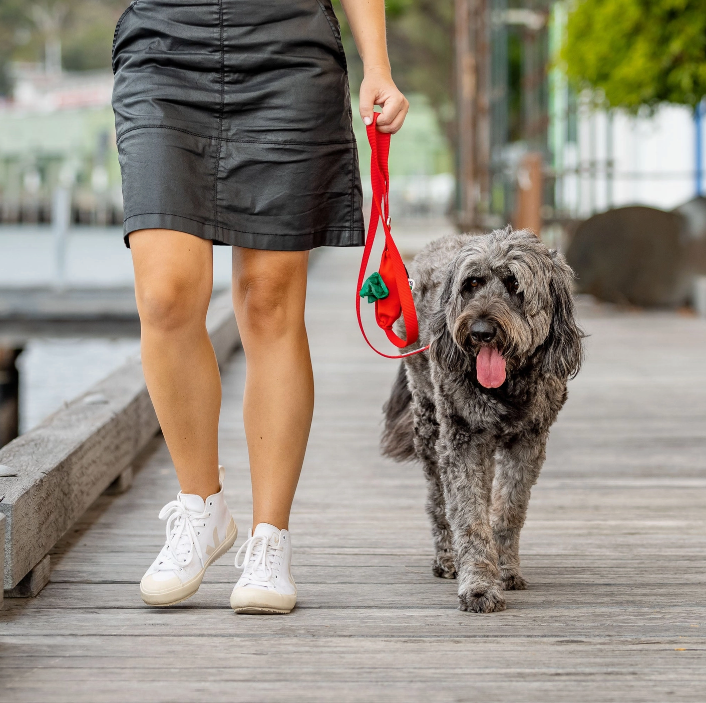 Red Dog Leash with Built-in Poop Bag Holder