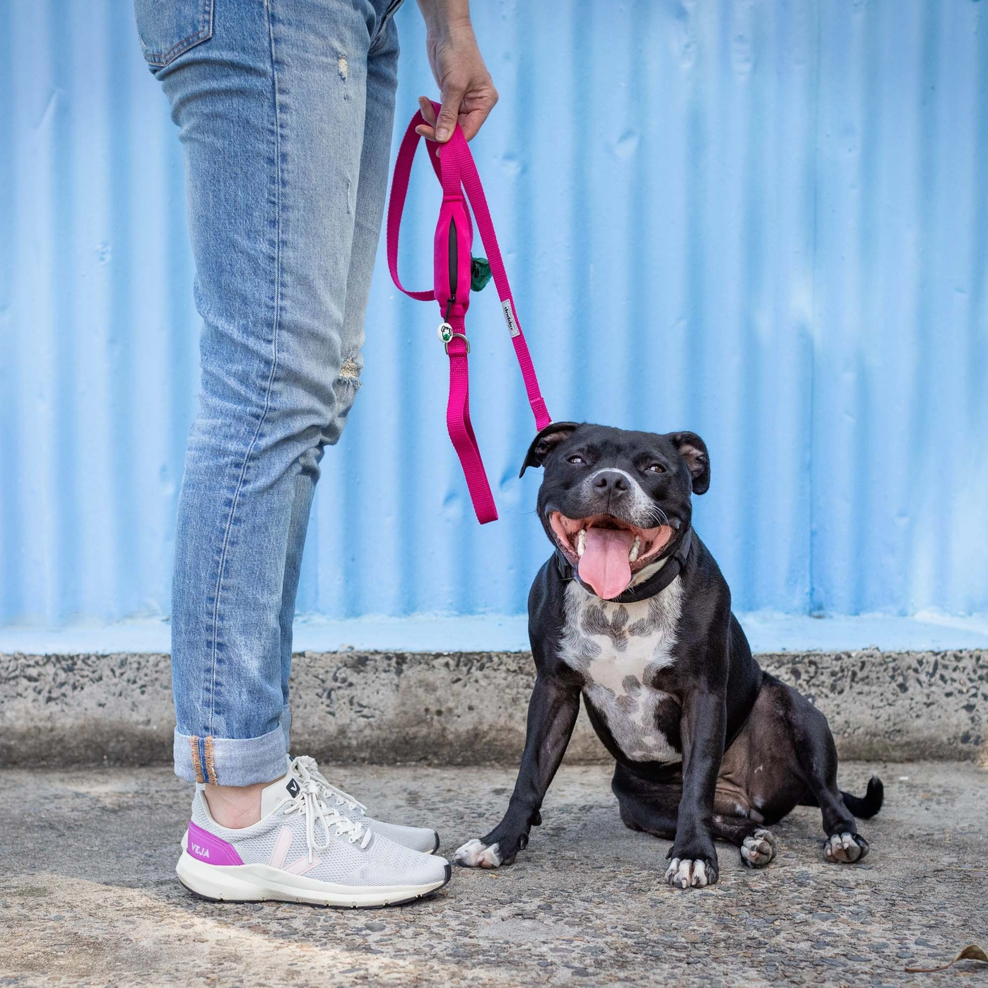 Pink Dog Leash with Built-in Poop Bag Holder