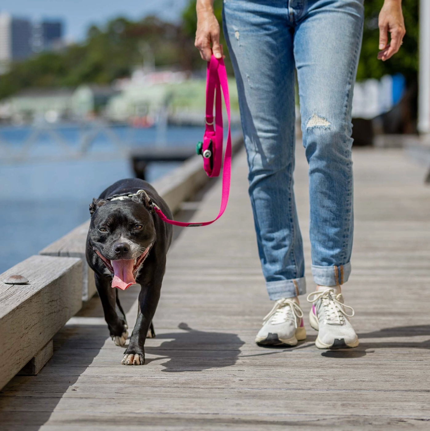 Pink Dog Leash with Built-in Poop Bag Holder