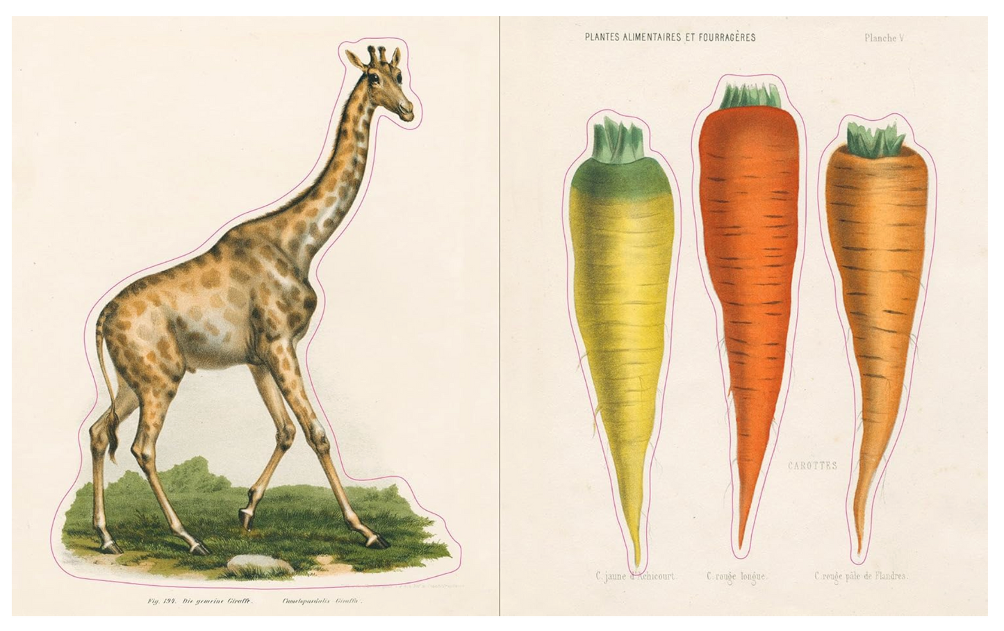 John Derian Sticker Book