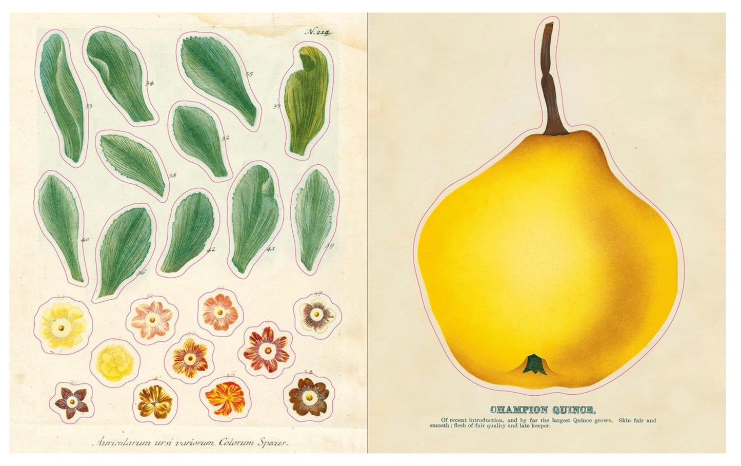 John Derian Sticker Book