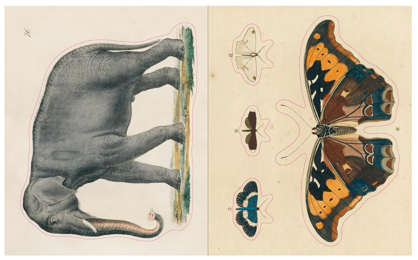 John Derian Sticker Book