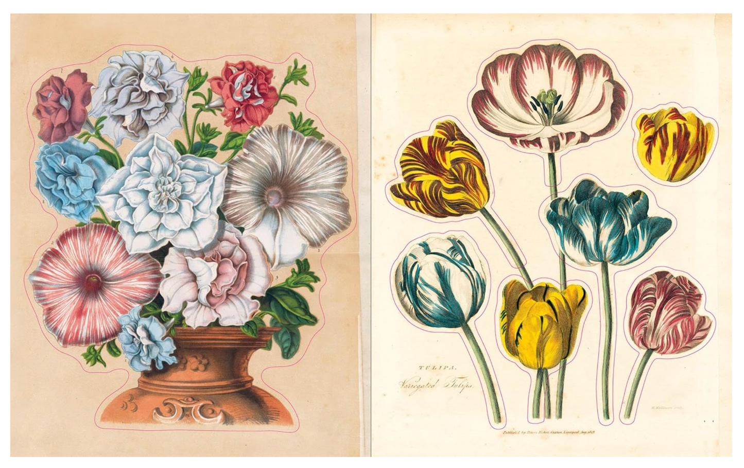 John Derian Sticker Book