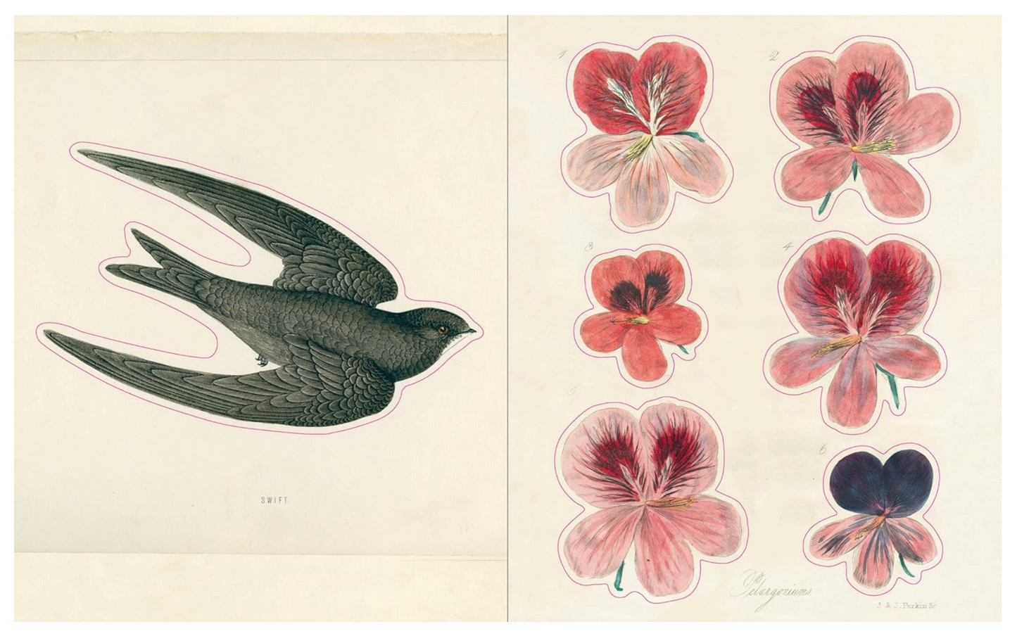 John Derian Sticker Book