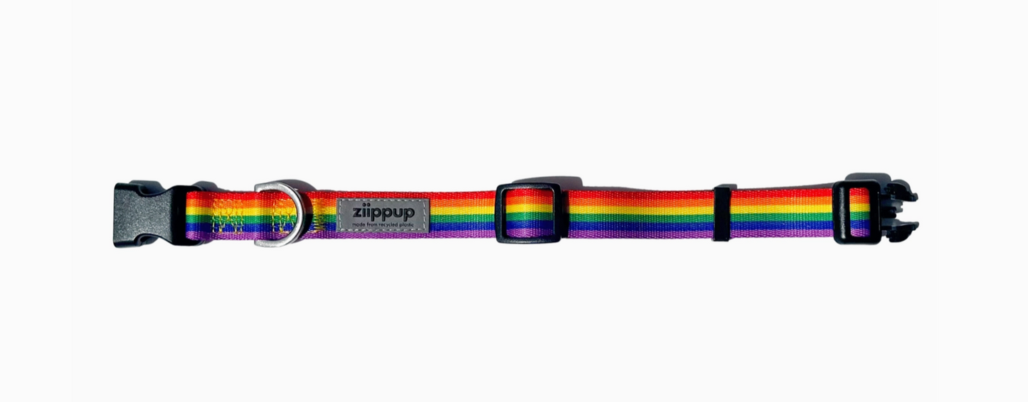 Rainbow Recycled Dog Collar