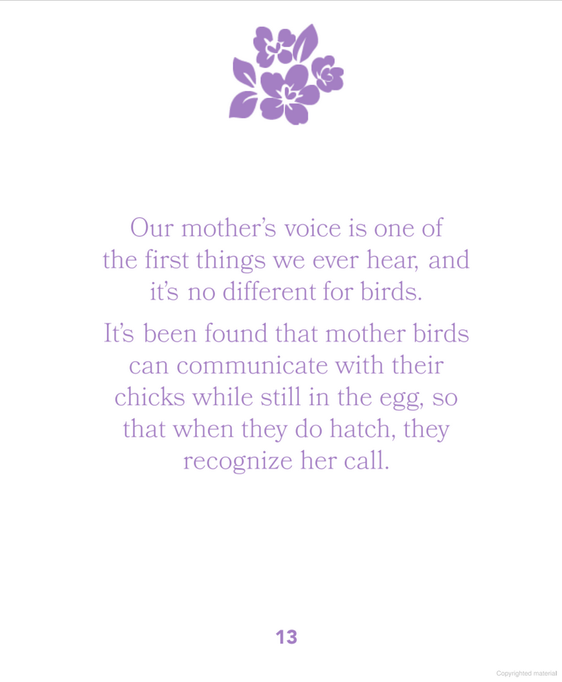 The Little Book of Mum