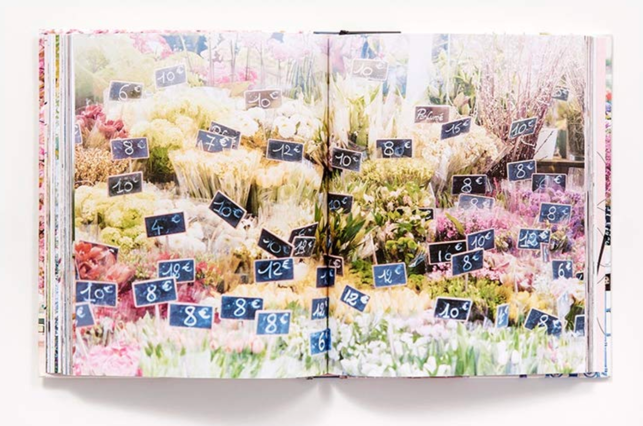 Paris in Bloom