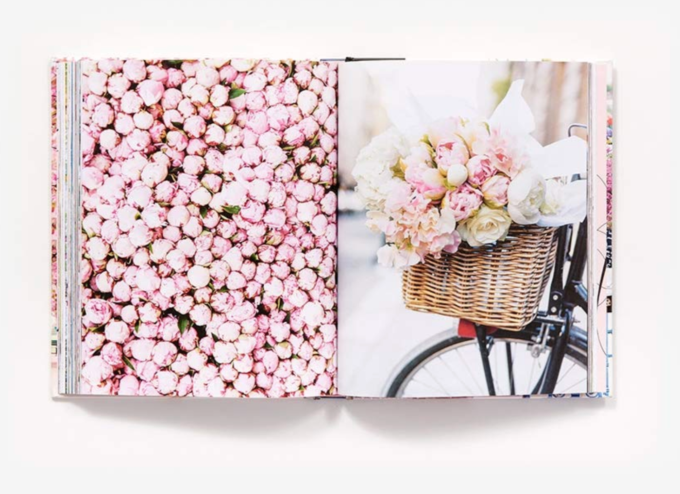 Paris in Bloom
