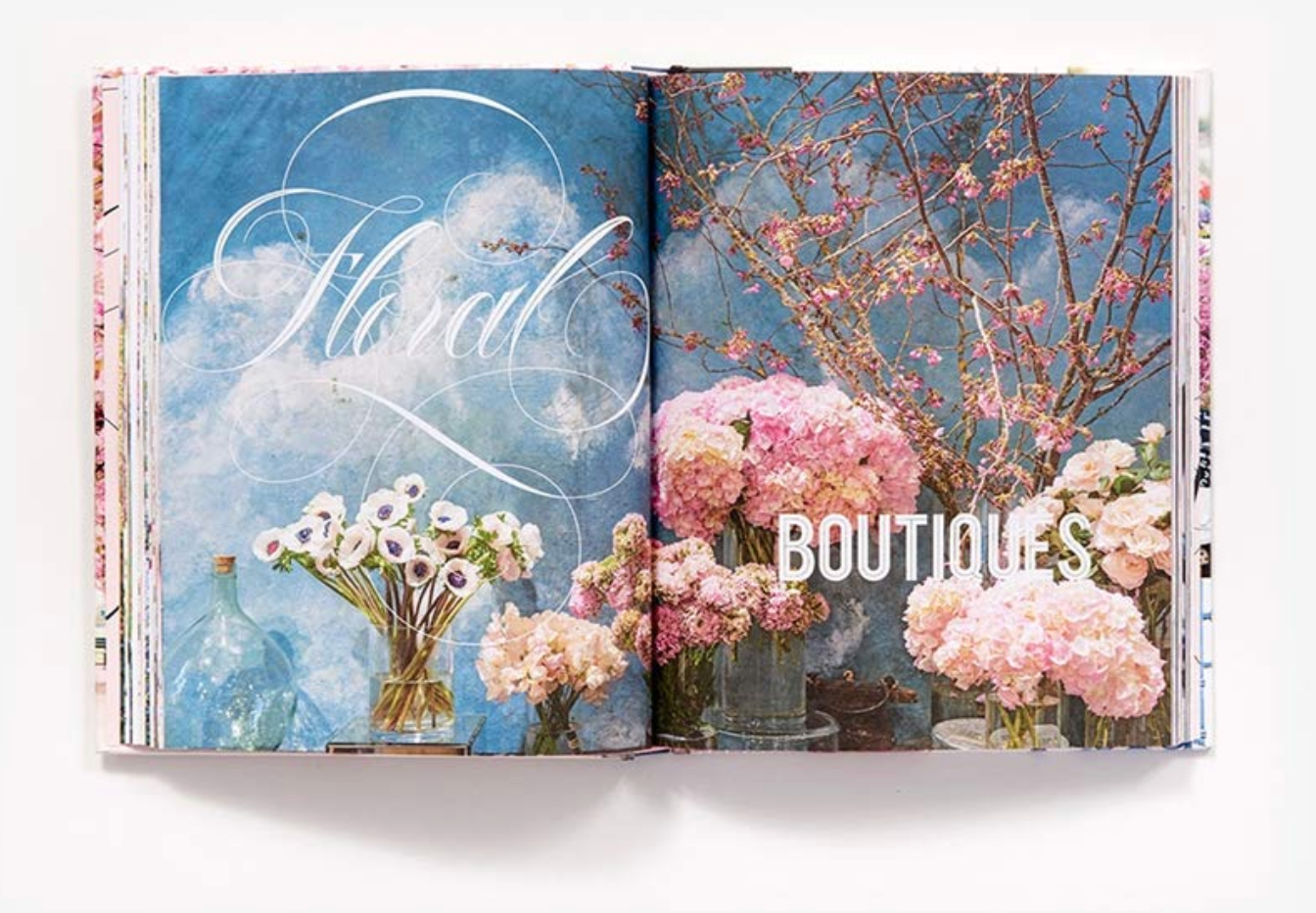 Paris in Bloom