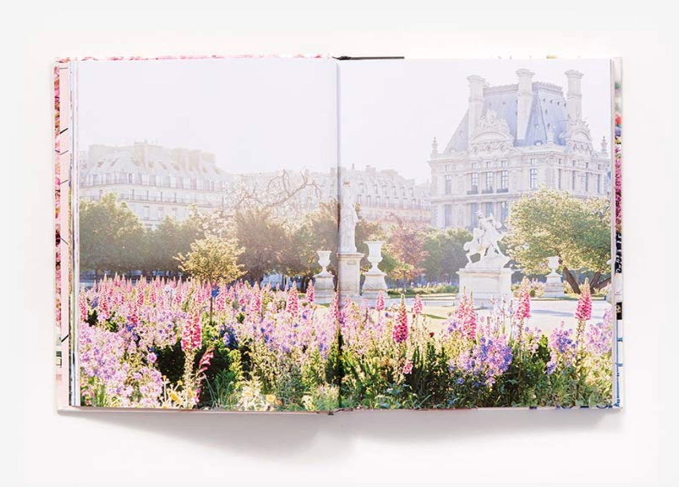 Paris in Bloom