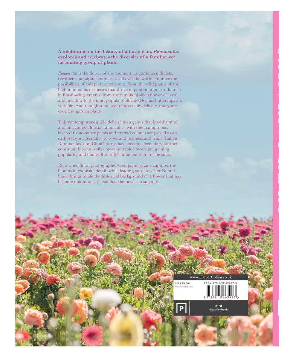 Ranunculus