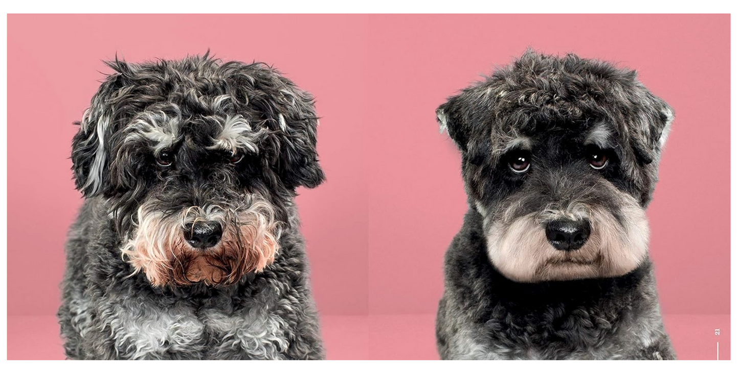 Puppy Styled