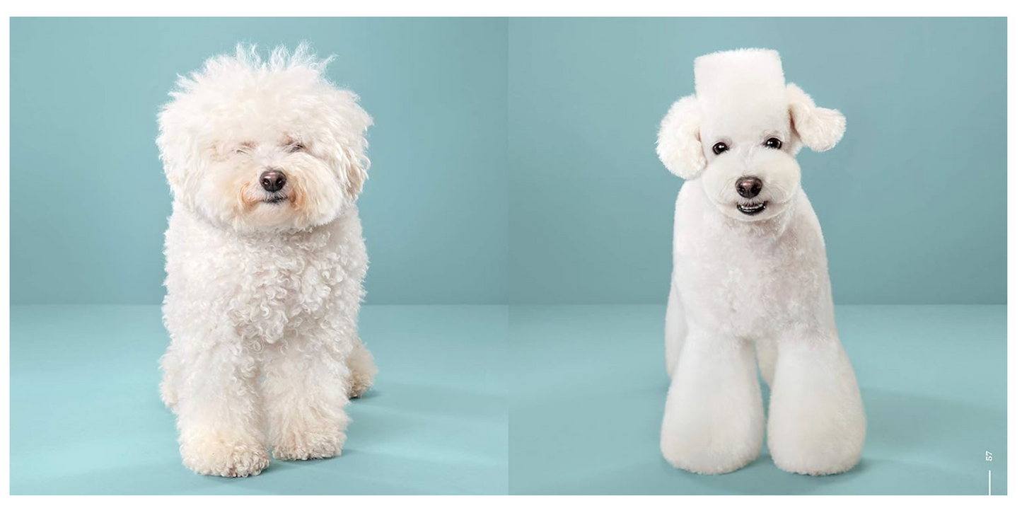 Puppy Styled