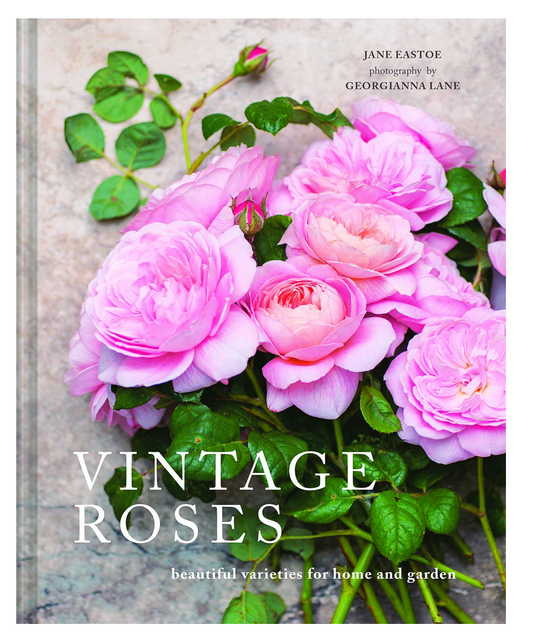 Vintage Roses: Beautiful Varieties For Home