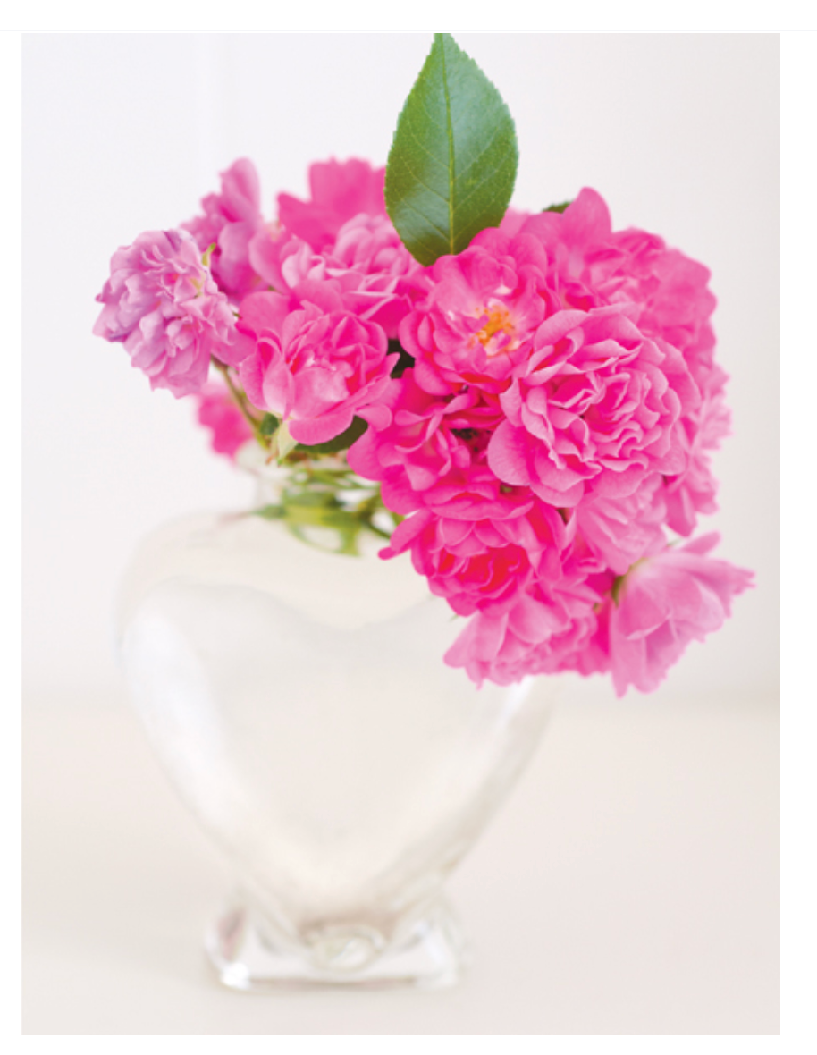 Vintage Roses: Beautiful Varieties For Home