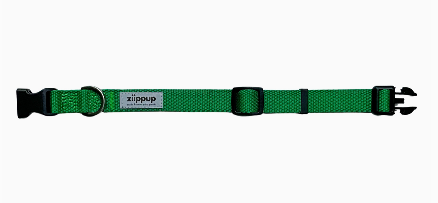 Green Recycled Dog Collar
