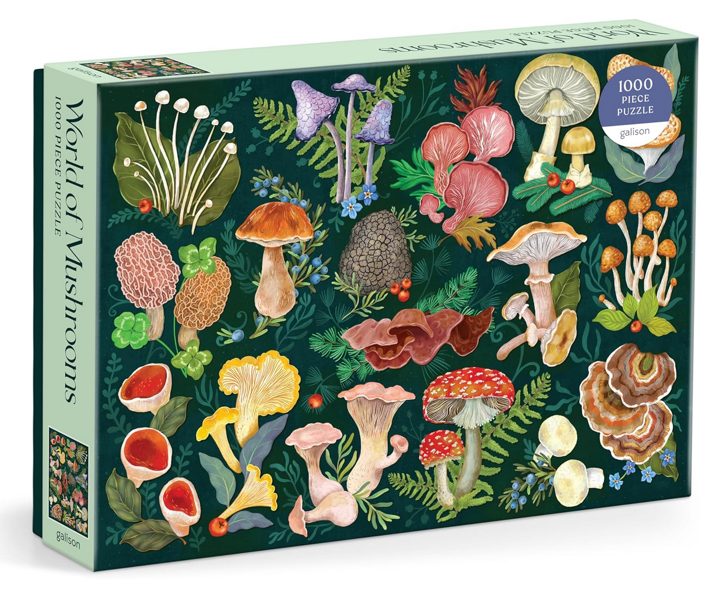 World of Mushrooms Puzzle