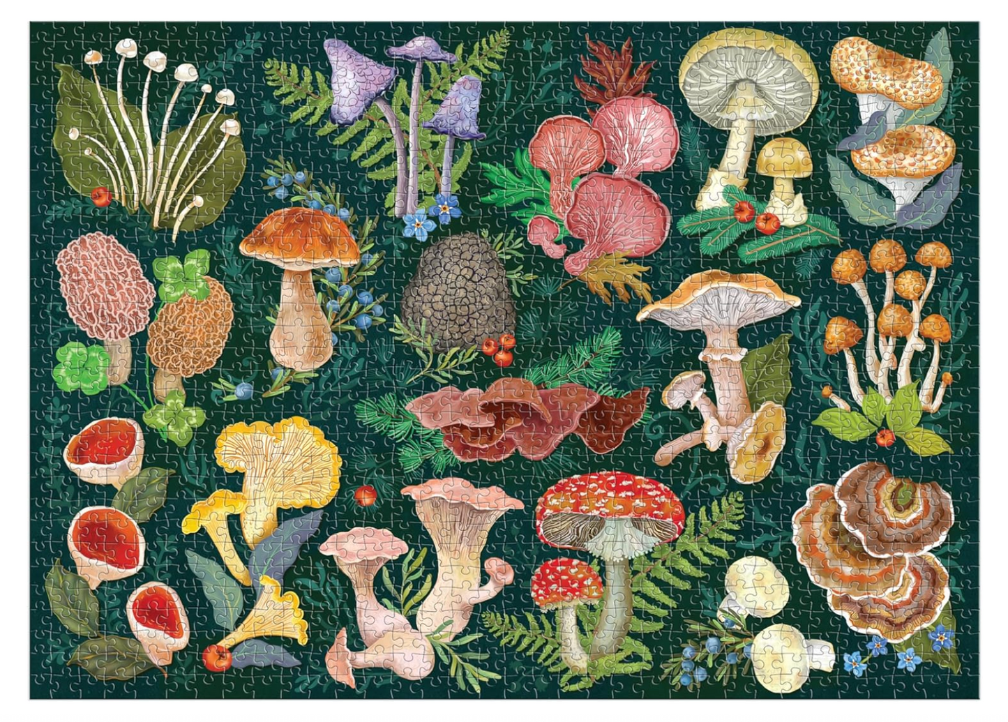 World of Mushrooms Puzzle