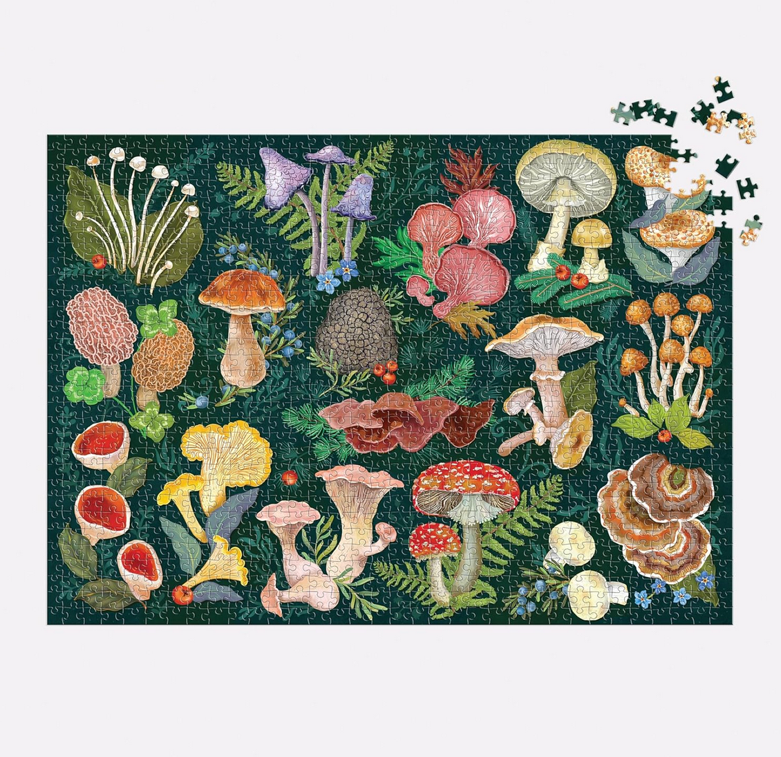 World of Mushrooms Puzzle