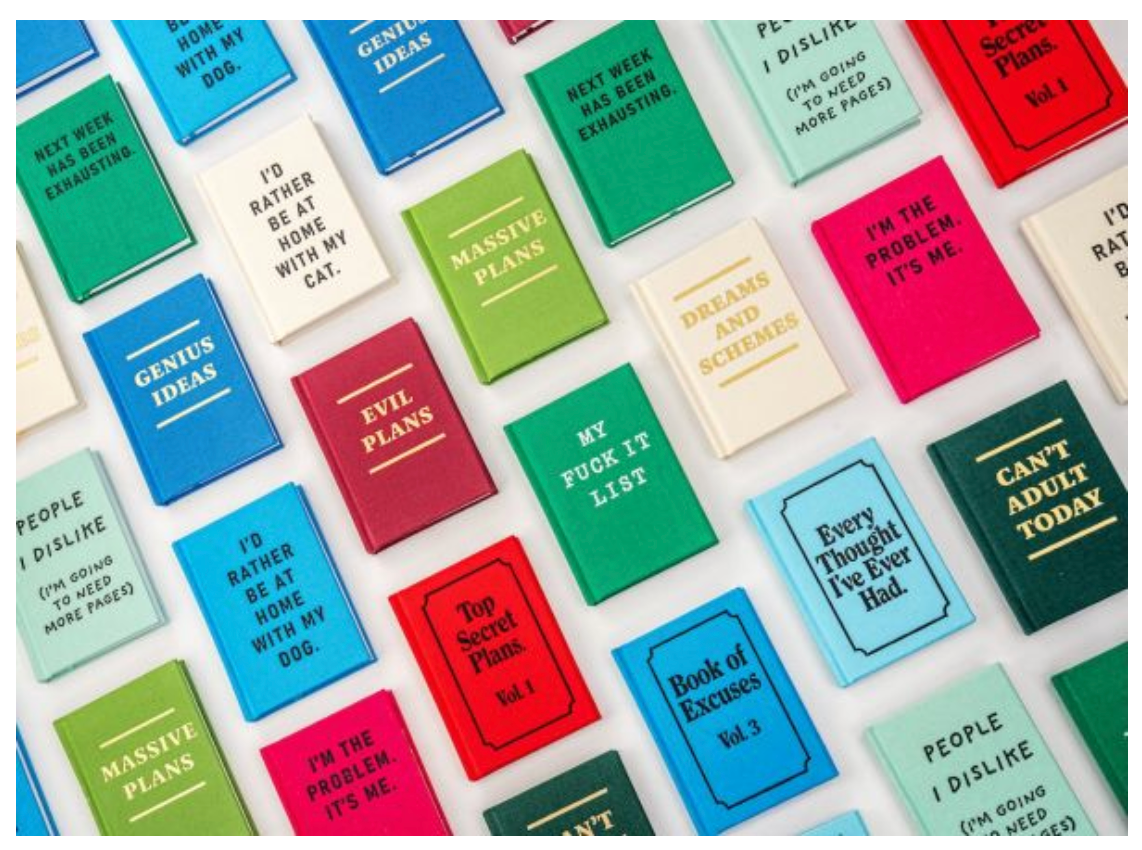 Top Secret Plans Tiny Notebook
