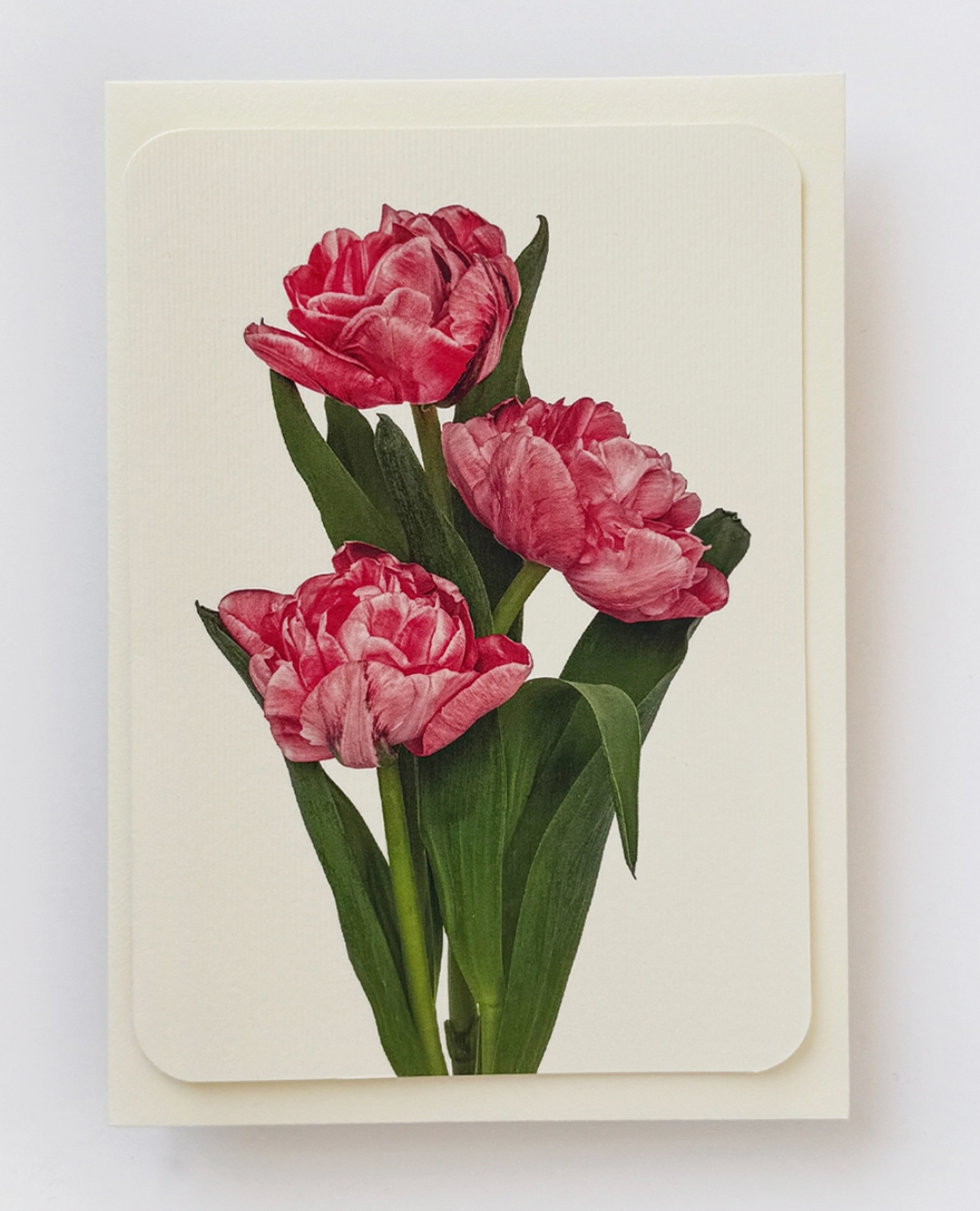 Pink Tulips Blank Card