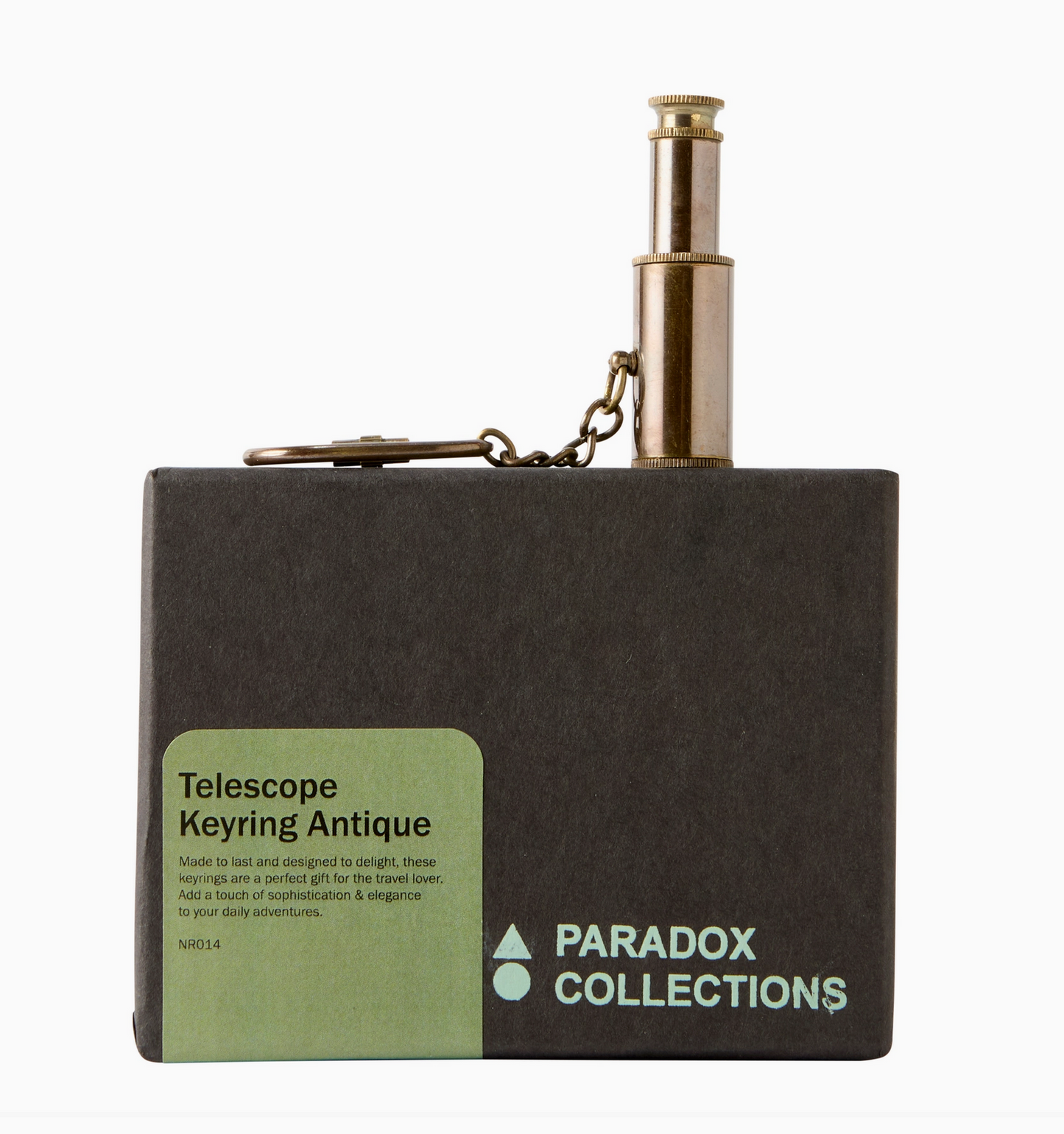 Telescope Keyring