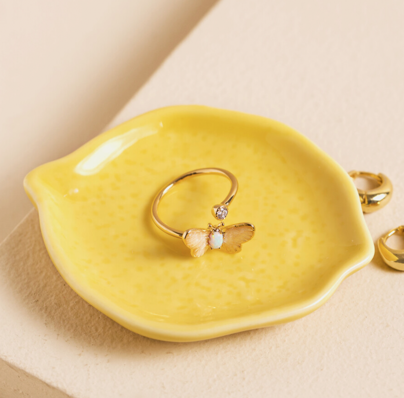 Squeeze the Day Nesting Trinket Trays
