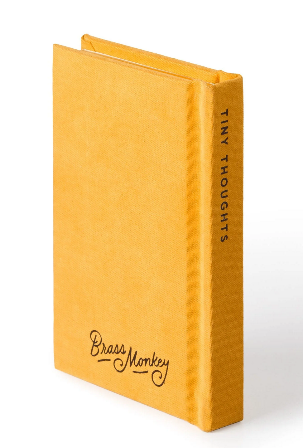 Tiny Thoughts Tiny Diary