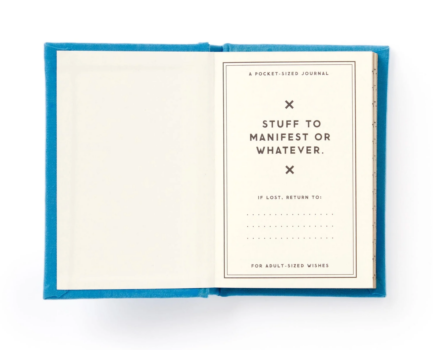 Tiny Hopes & Dreams Tiny Diary