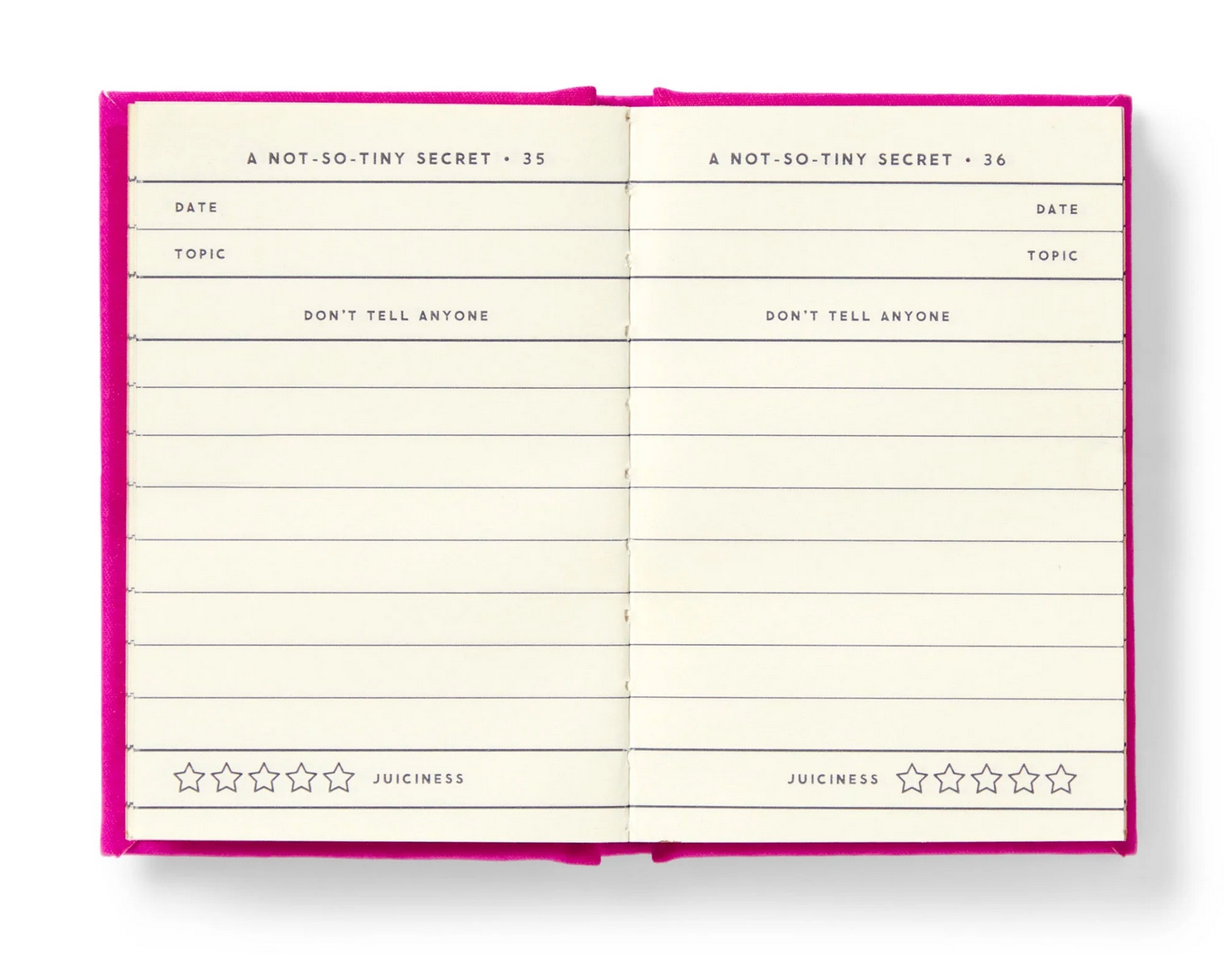 Tiny Secrets Tiny Diary