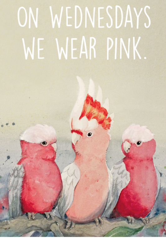 On Wednesdays We Wear Pink- Sarah Mac