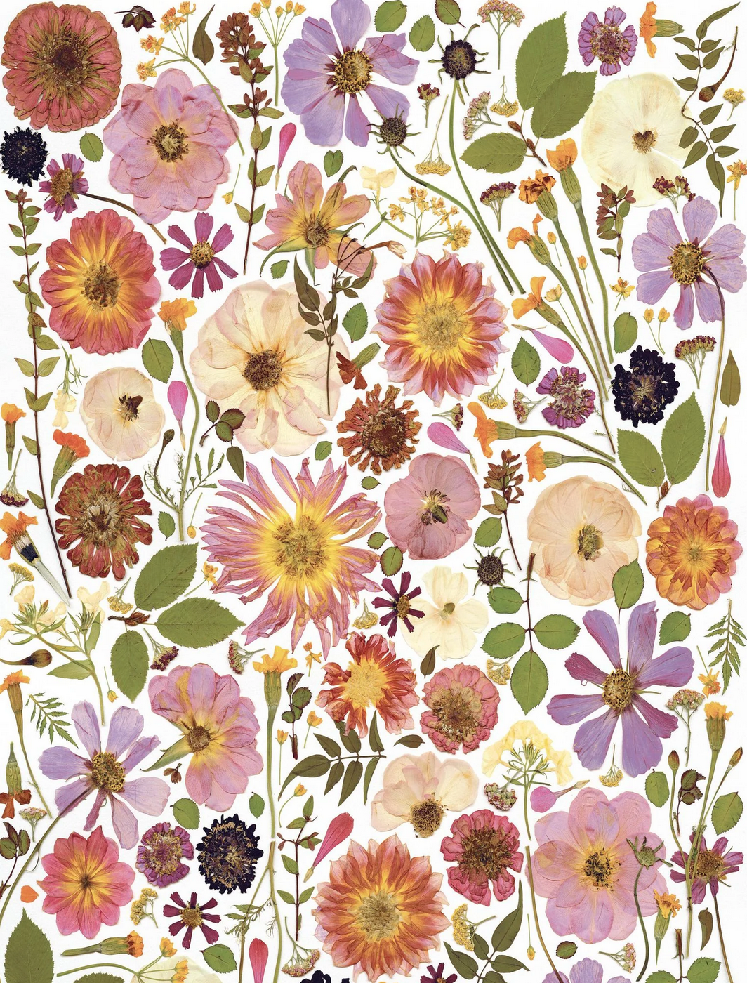 Beautiful Blooms Wrapping Paper Book