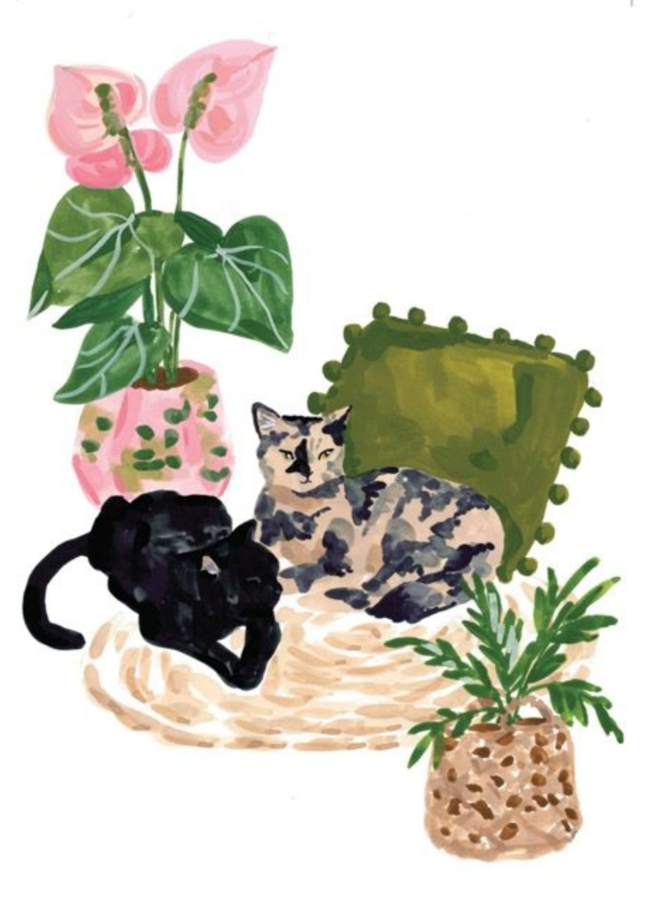 Cats and Houseplants by Sabina Fenn