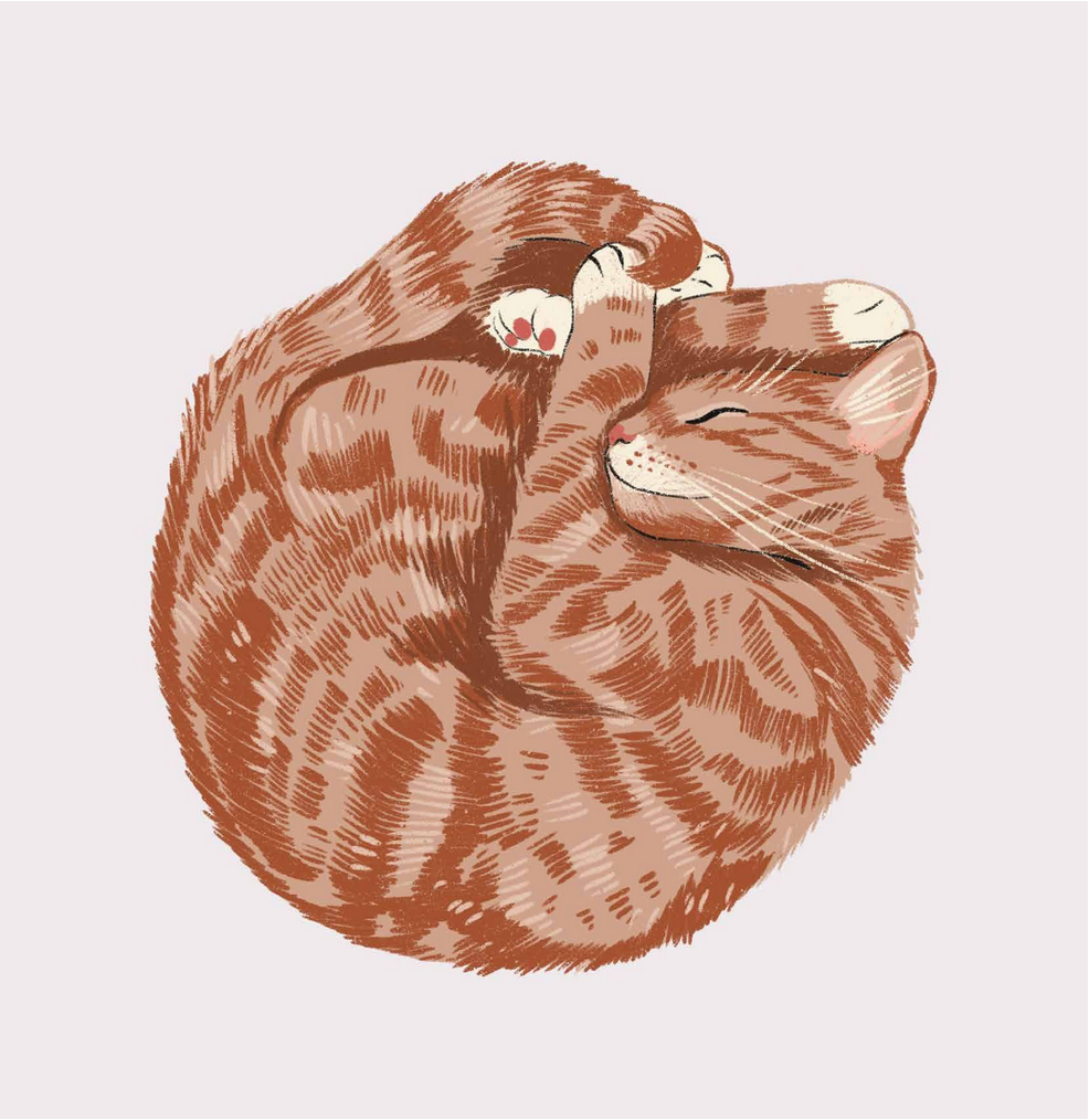 Ginger Cat Croissant - Alissa Levy