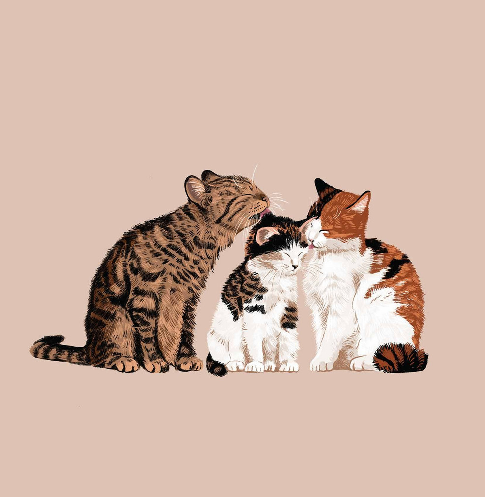 Cat Family - Alissa Levy