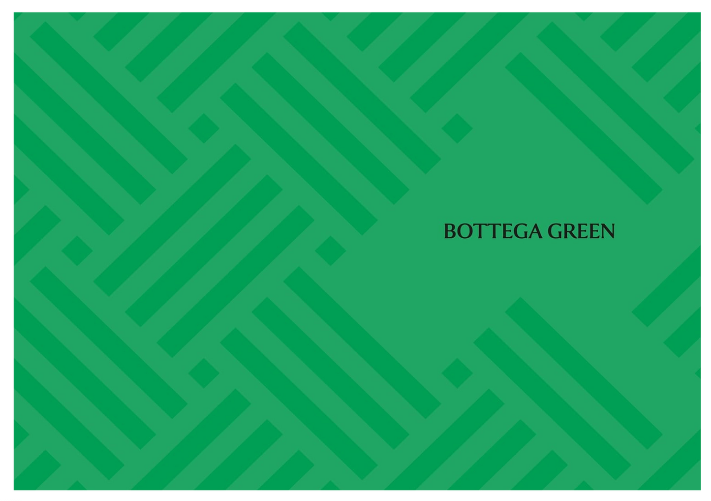The Little Book of Bottega Veneta