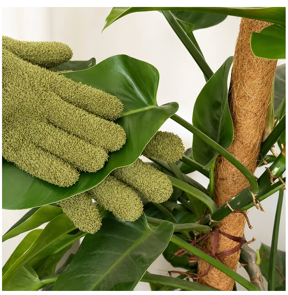 Plant Dusting Gloves