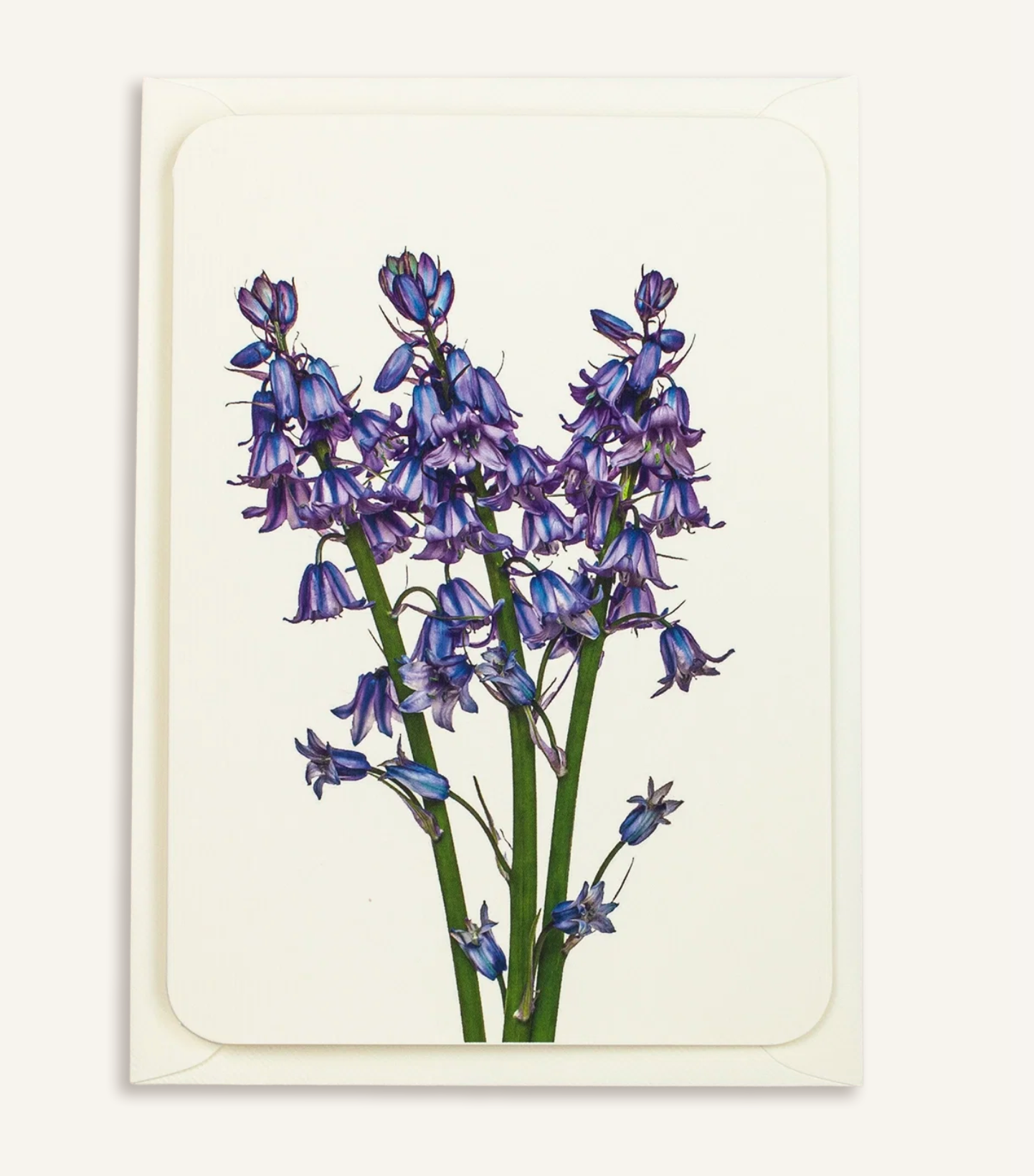 Bluebells - Greeting Card