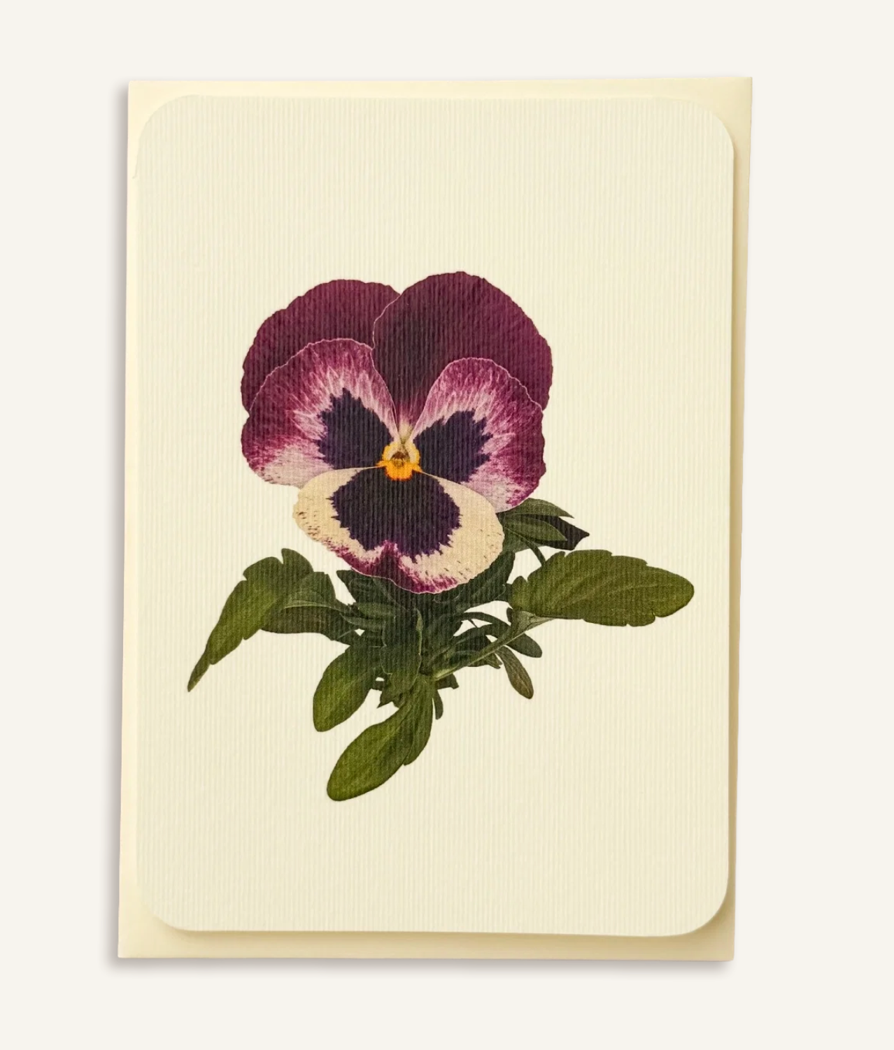 Pansy - Greeting Card