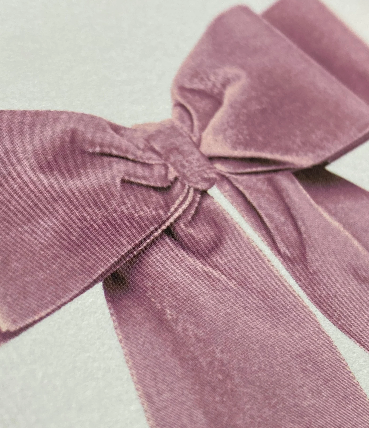 Pink Velvet Bow - Greeting Card