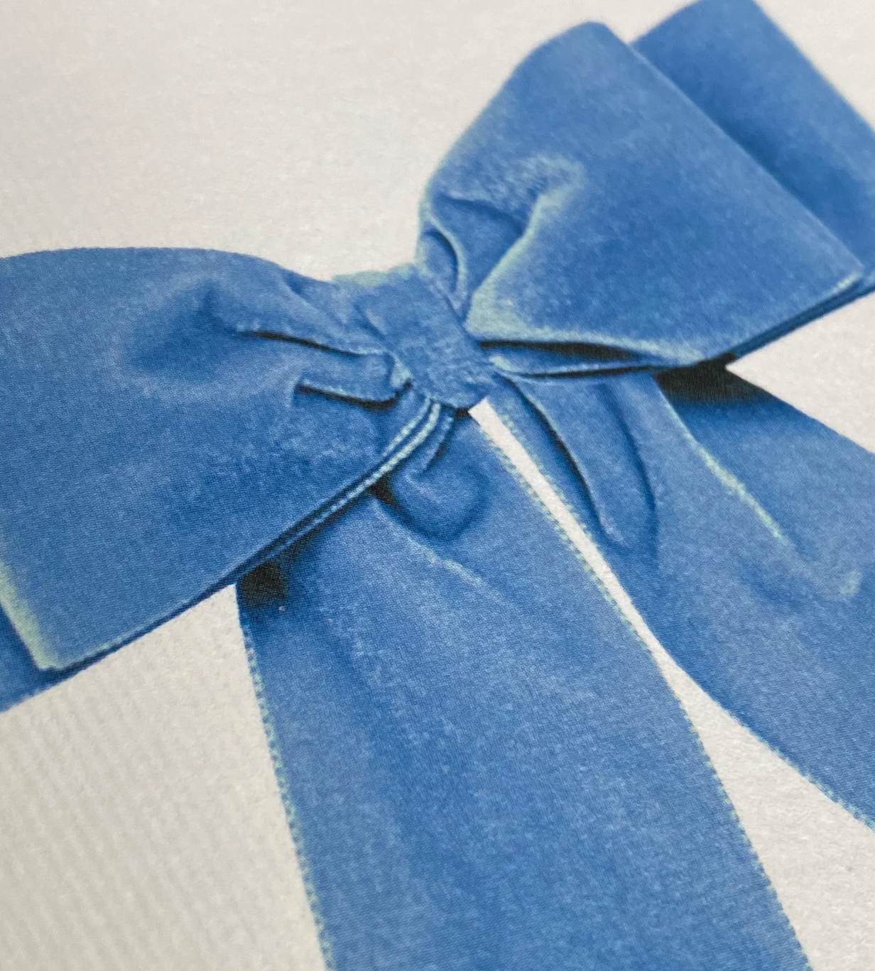 Blue Velvet Bow - Greeting Card