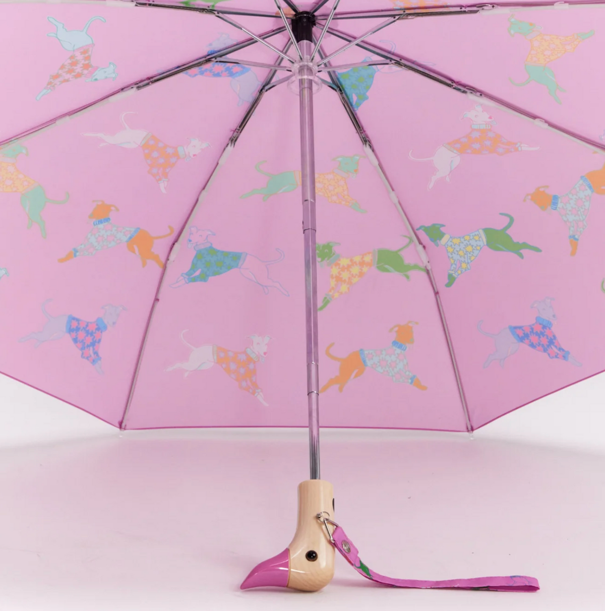 Dogs in Pink